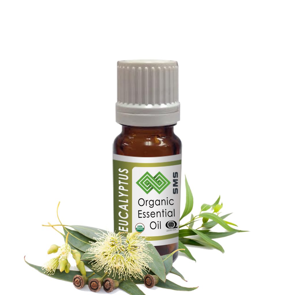 Eucalyptus Essential Oil Radiata Organic - SMSOrganics, Pure Essential ...